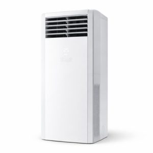 کولر گازی ایستاده گری مدل Ice core